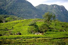 Colombo to Deniyaya Route