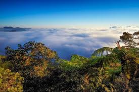 Baker’s Falls & Pattipola